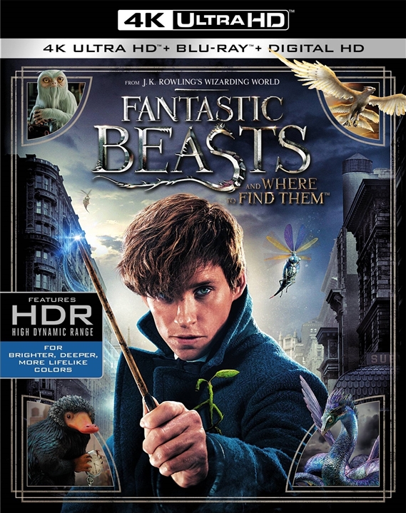Fantastic Beasts and Where to Find Them 4K (2016) Ultra HD Blu-ray