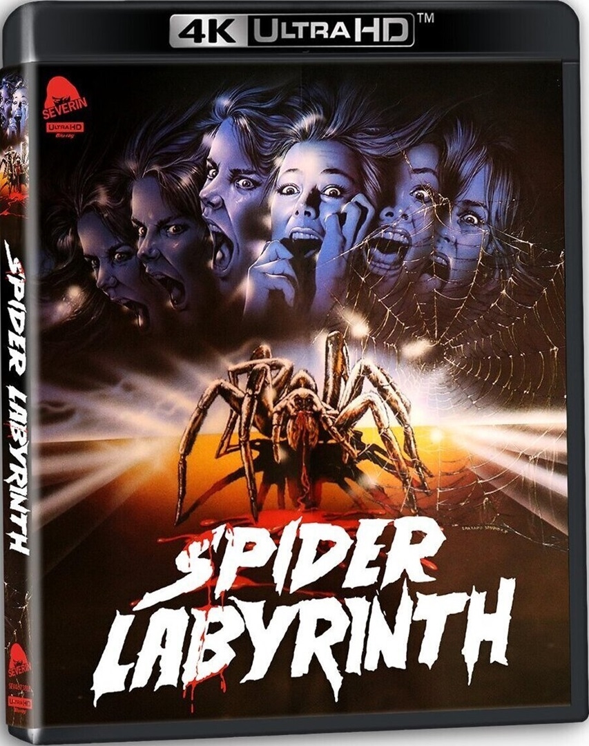 The Spider Labyrinth in 4K Ultra HD Blu-ray at HD MOVIE SOURCE